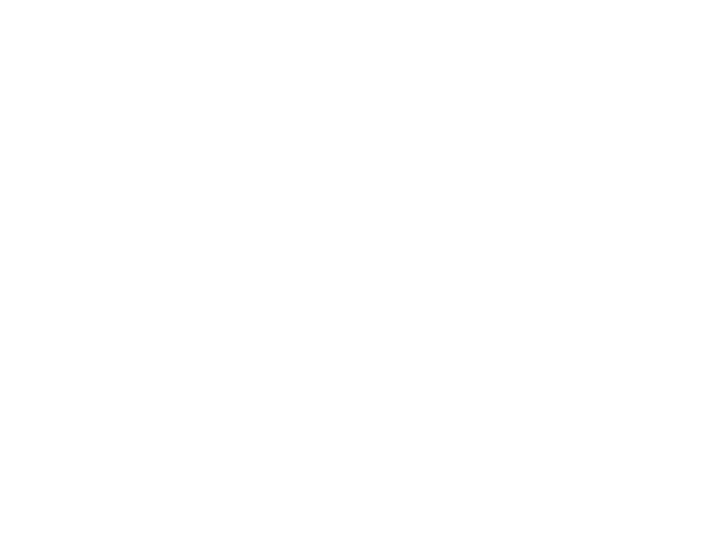 Van der Vaart Schoonmaak